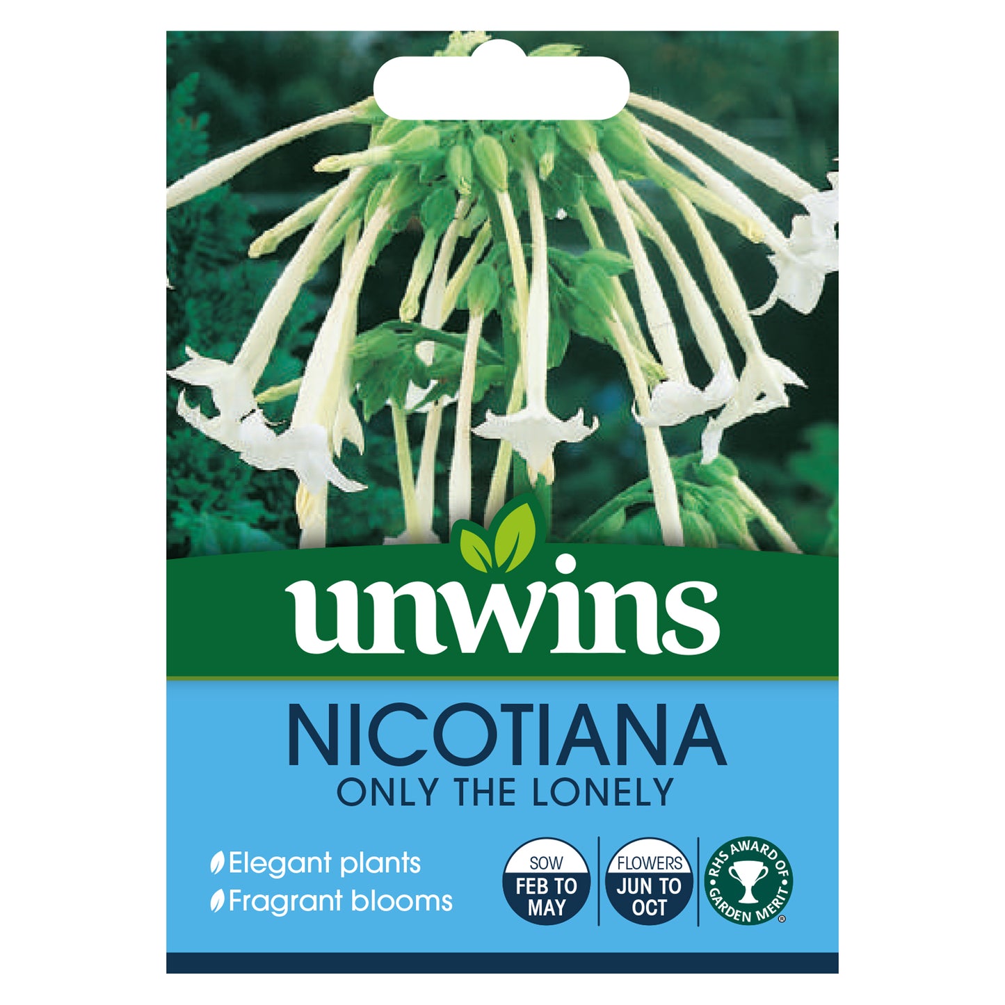 Unwins Nicotiana Sylvestris Only The Lonely Seeds front