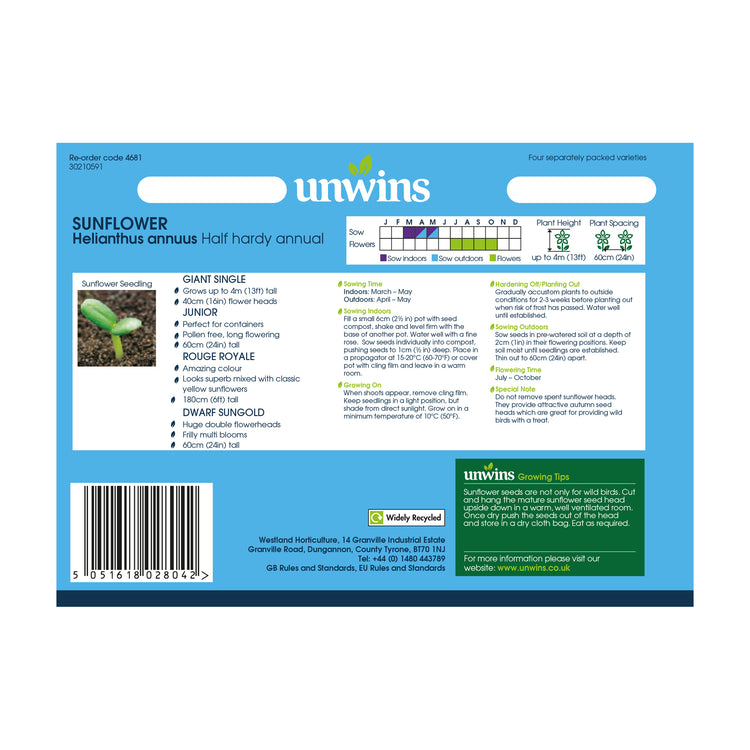 Unwins Sunflower Allsorts Collection Pack