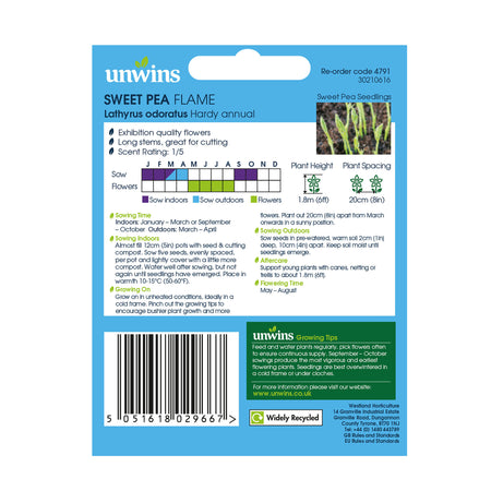 Unwins Sweet Pea Flame Seeds
