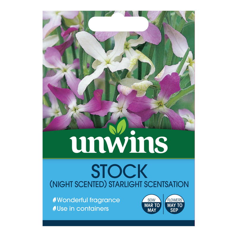 Unwins Stock Night Scented Starlight Scentsation Seeds
