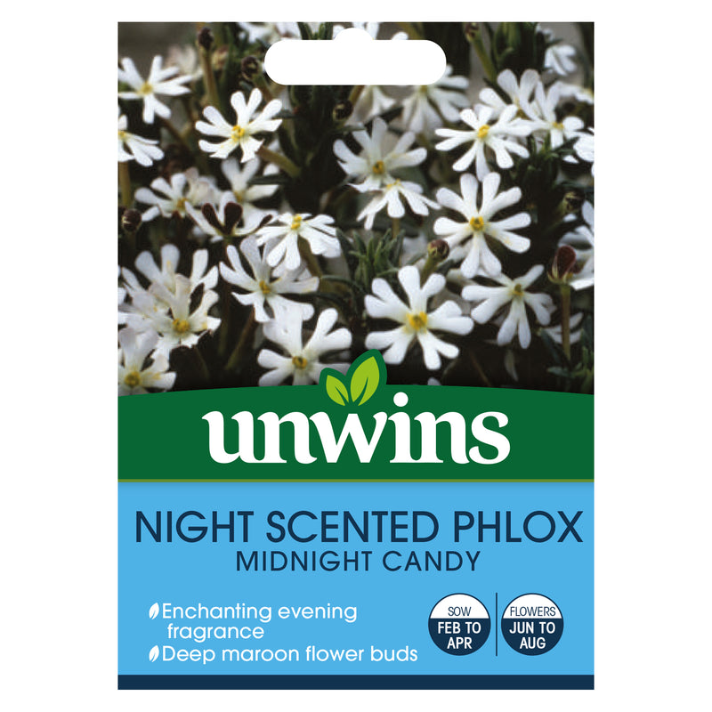 Unwins Night Scented Phlox Midnight Candy Seeds