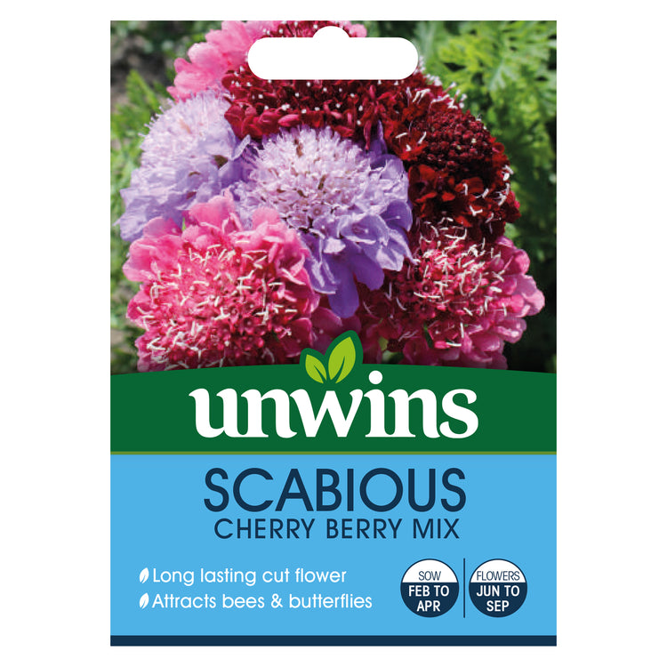 Unwins Scabiosa Cherry Berry Mix Seeds