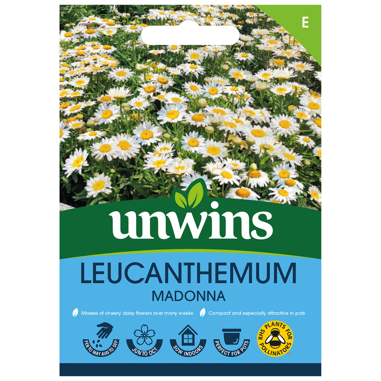 Unwins Leucanthemum Madonna Seeds