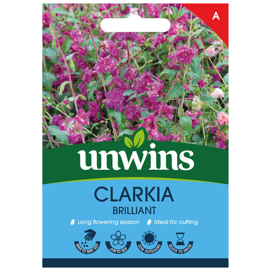 Unwins Clarkia Brilliant Seeds front of pack