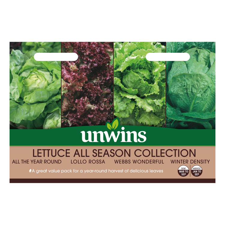 Unwins Lettuce All Season Collection Pack Seeds