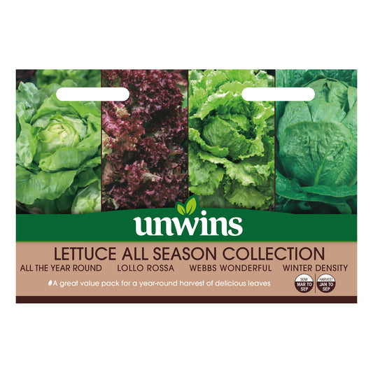 Unwins Lettuce All Season Collection Pack Seeds - front