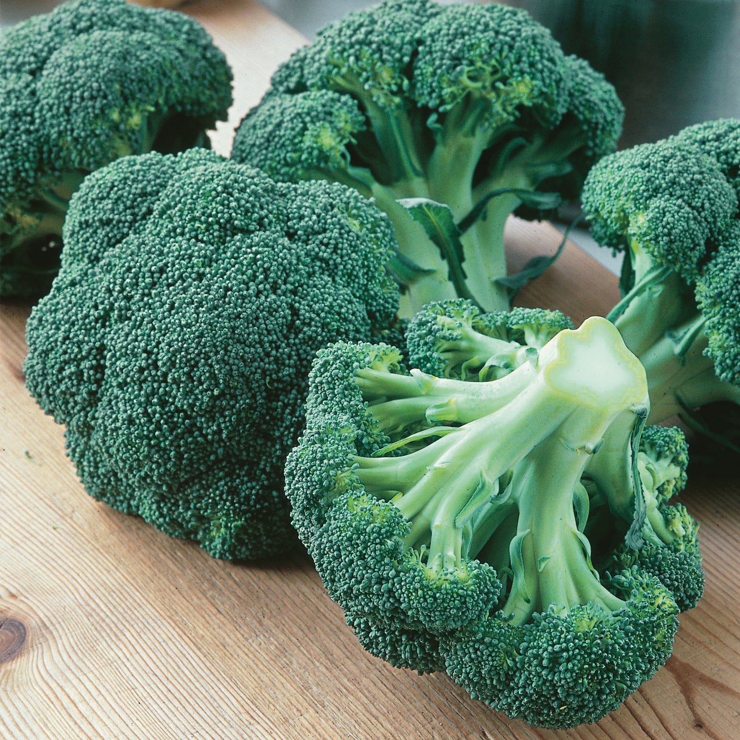 Unwins Calabrese Broccoli Green Magic F1 Seeds - lifestyle