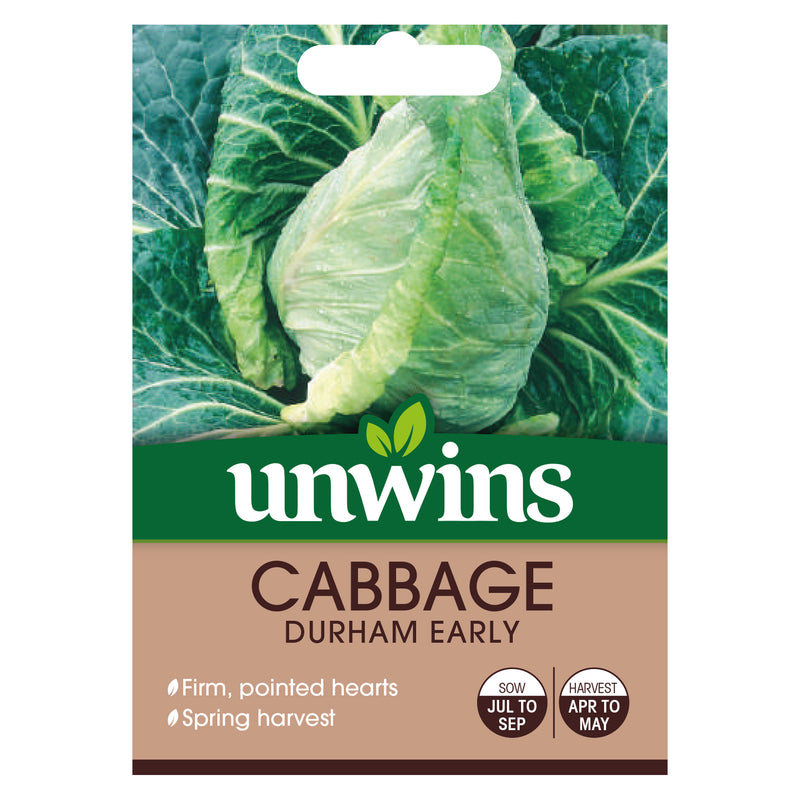 Unwins Pointed Cabbage Durham Early Seeds