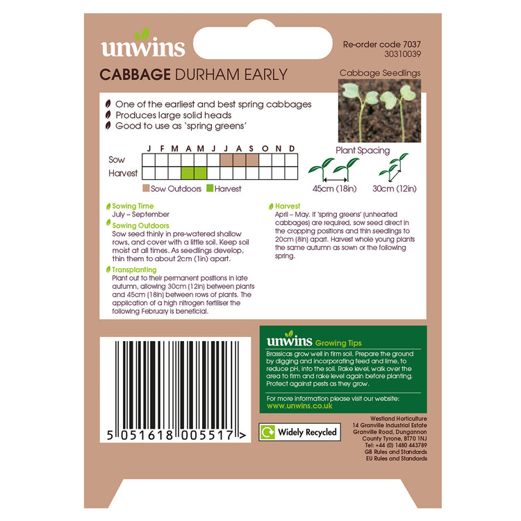 Unwins Pointed Cabbage Durham Early Seeds