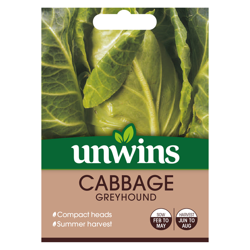 Unwins Pointed Cabbage Greyhound Seeds