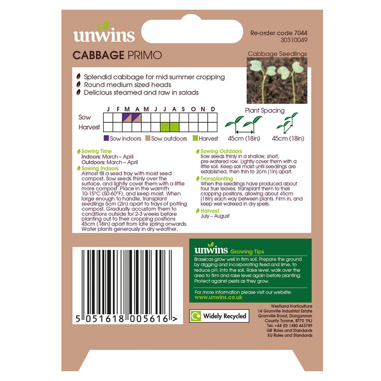 Unwins Round Cabbage Primo Seeds