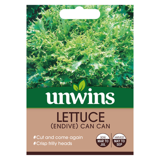 Unwins Endive Lettuce Can Can Seeds - front