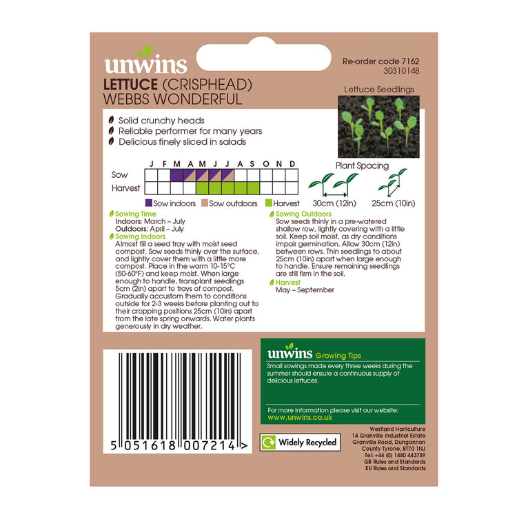 Unwins Crisphead Lettuce Webbs Wonderful Seeds