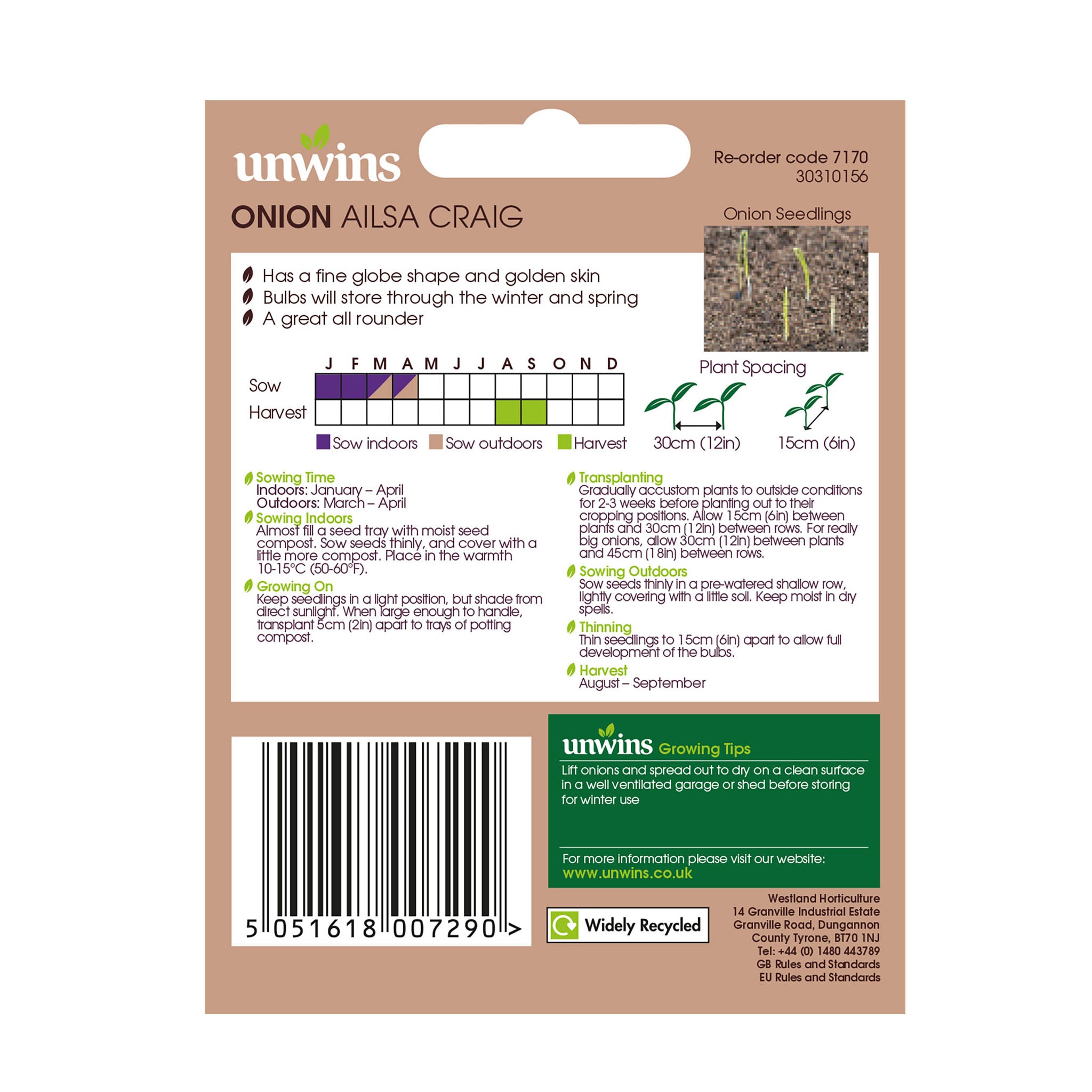 Unwins Onion Ailsa Craig Seeds Vegetable Seeds Unwins UK