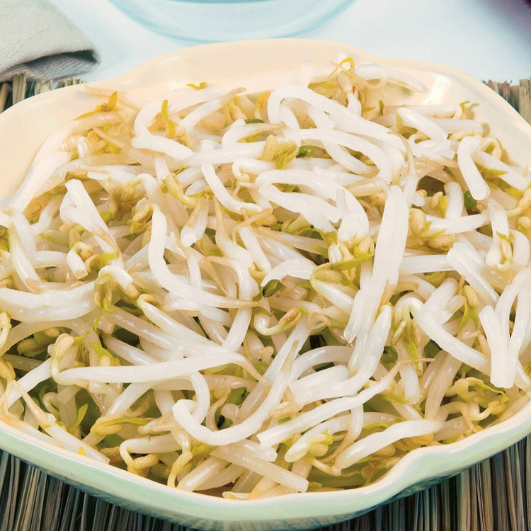 Unwins Sprouting Seeds Mung Bean Seeds