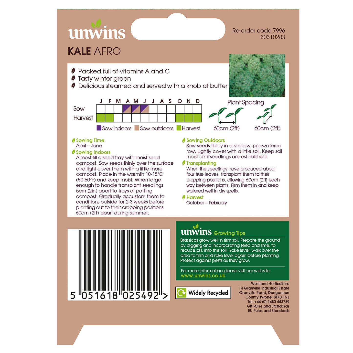Unwins Kale Afro Seeds - back