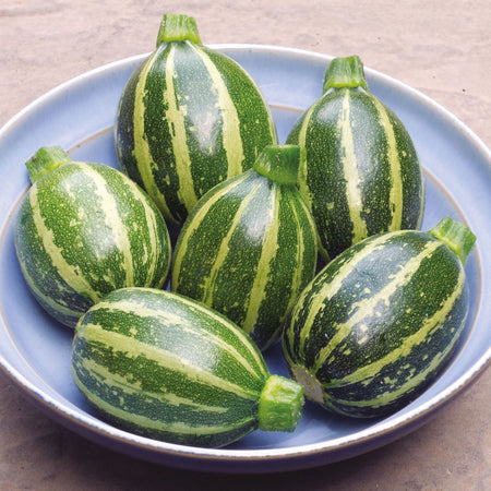 Unwins Courgette Piccolo Seeds