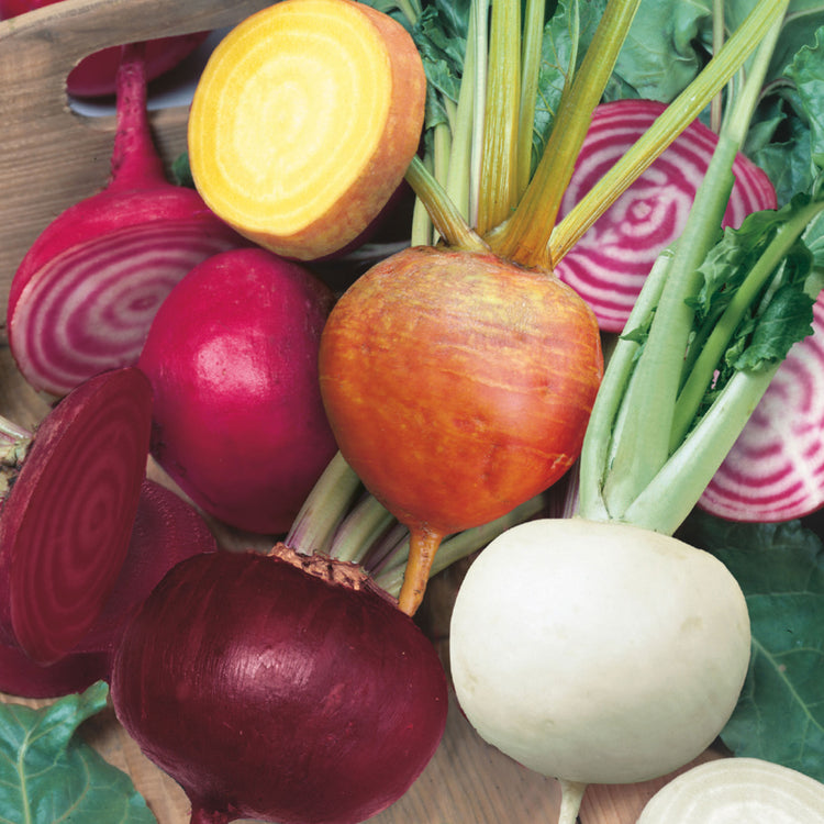 Unwins Round Beetroot Gourmet Mix Seeds