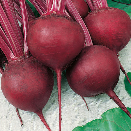 Unwins Round Beetroot Cardeal F1 Seeds