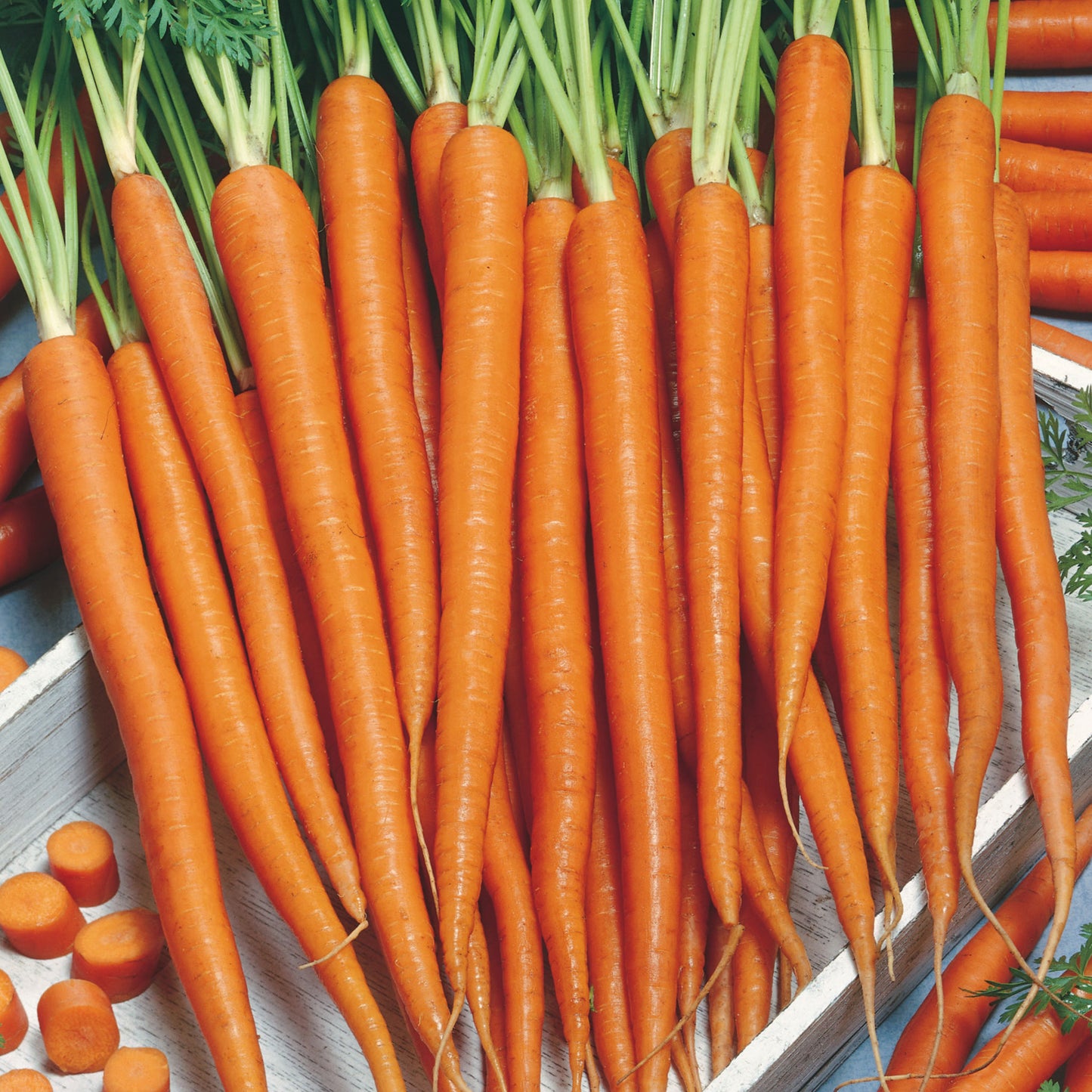 Unwins Carrot Sugarsnax 54 F1 