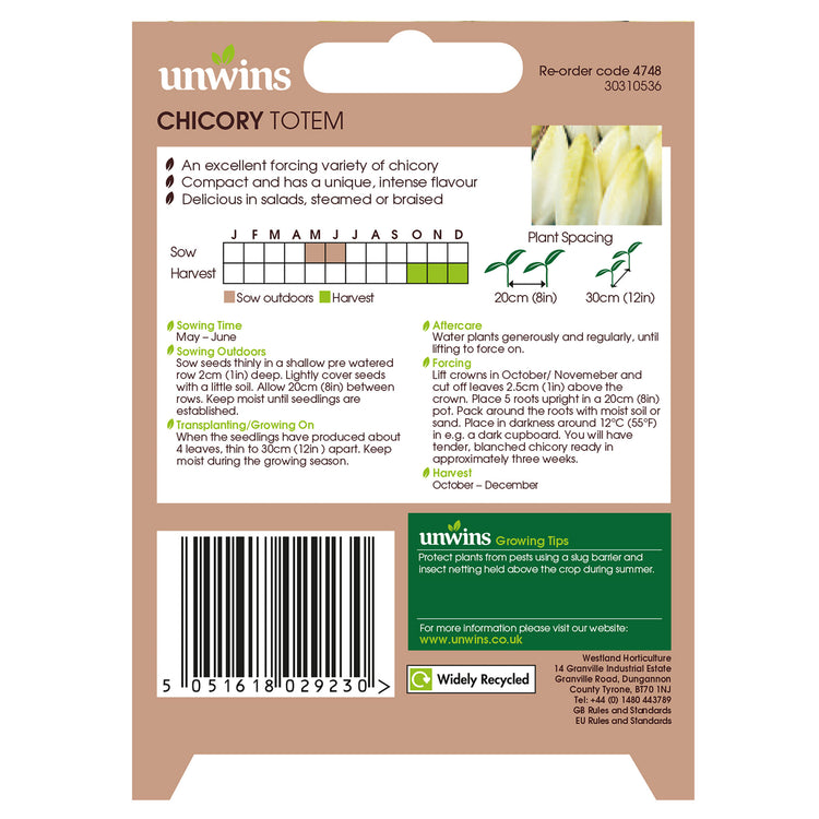 Unwins Chicory Totem Seeds