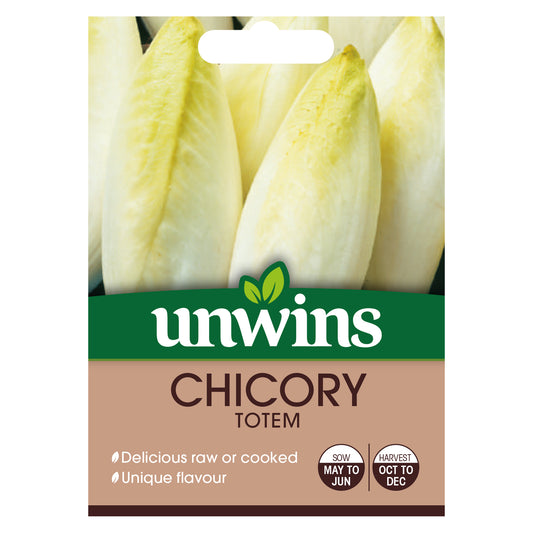 Unwins Chicory Totem Seeds - front