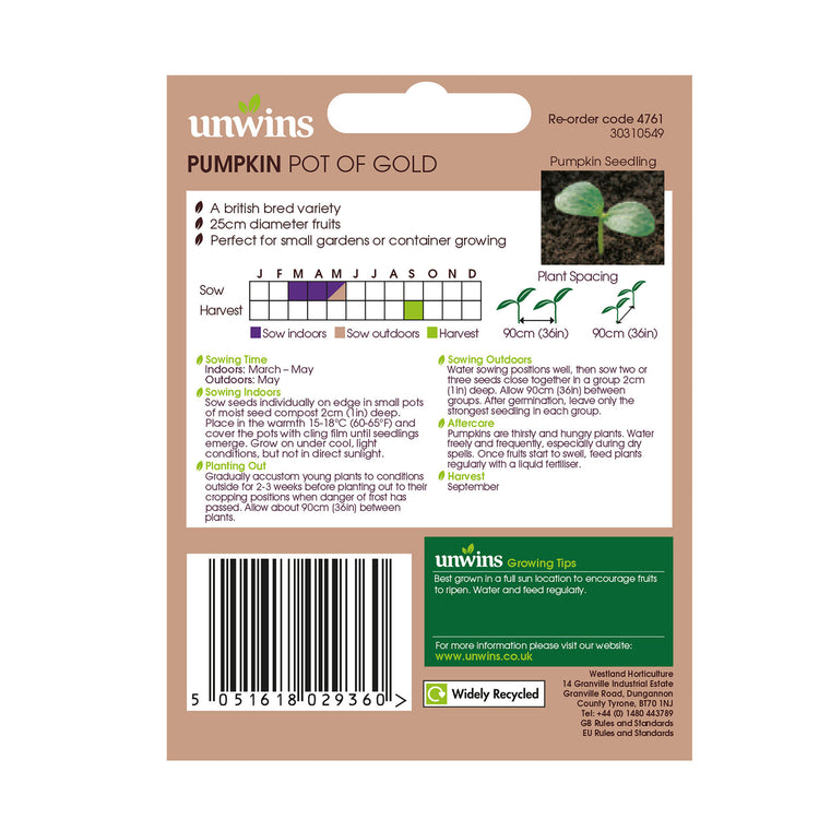 Unwins Pumpkin Pot of Gold Seeds