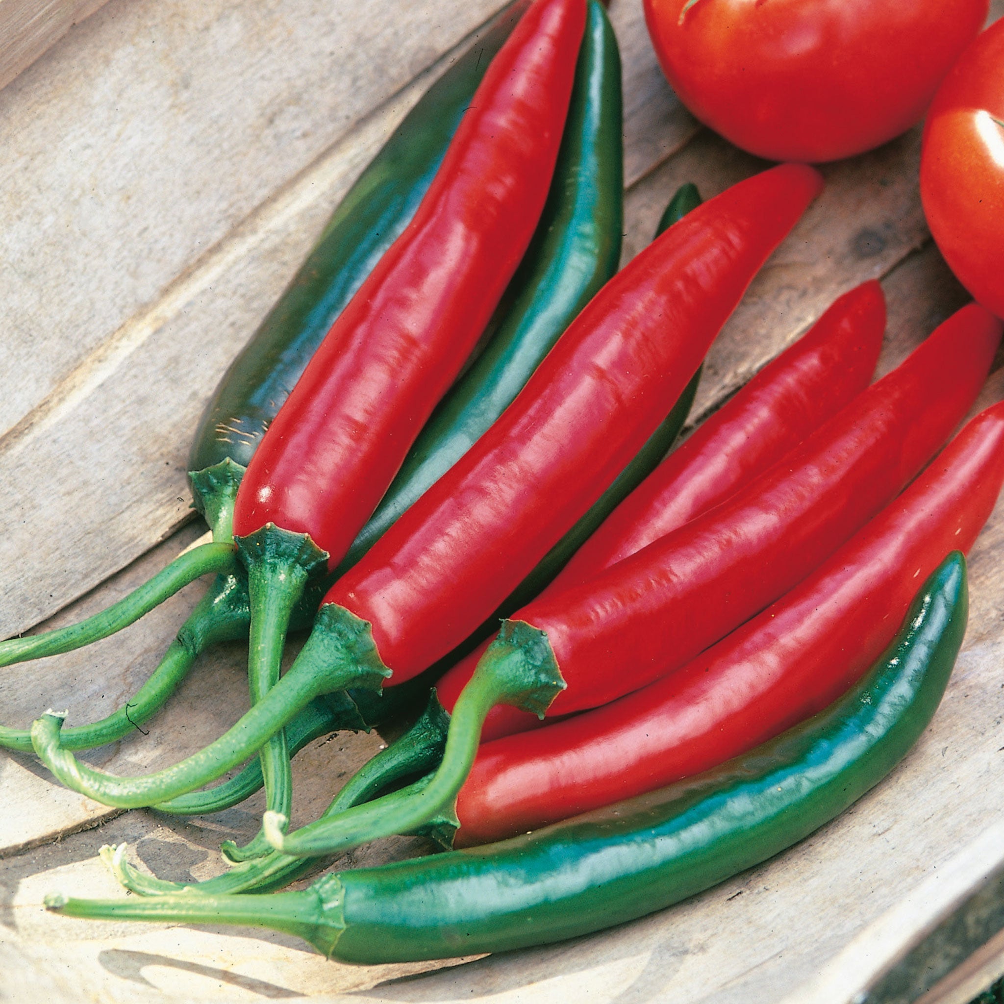 Chilli Pepper Seeds - Vegetable Seeds – Unwins UK