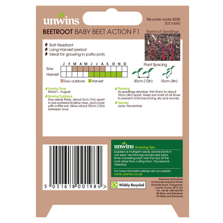 Unwins Round Beetroot Baby Beet Action F1 Seeds