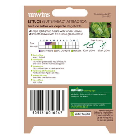 Unwins Butterhead Lettuce Attraction Seeds