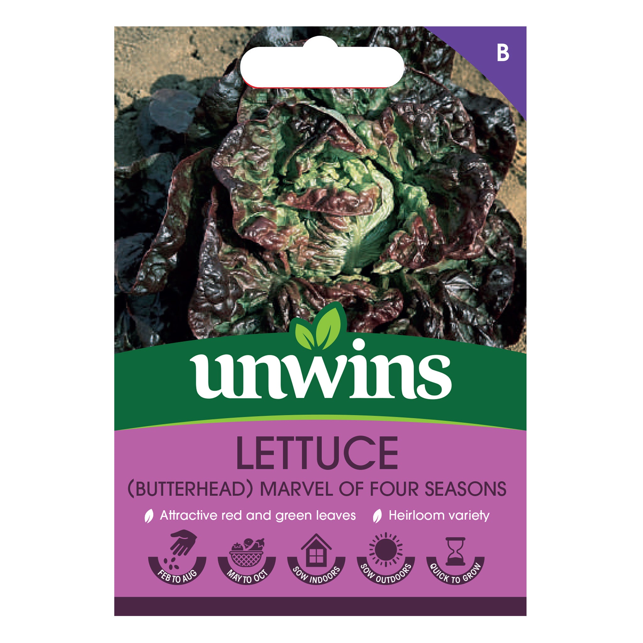 Unwins Butterhead Lettuce Marvel of Four Seasons Seeds Unwins UK