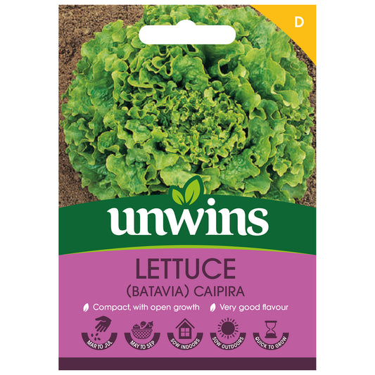 Unwins Batavia Lettuce Caipira Seeds - front