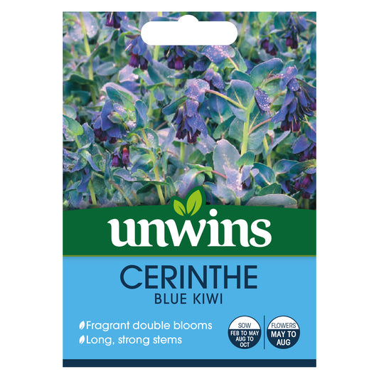 Unwins Cerinthe Blue Kiwi Seeds - front