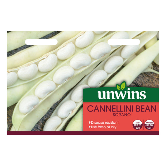 Unwins Cannellini Bean Sorano Seeds - front