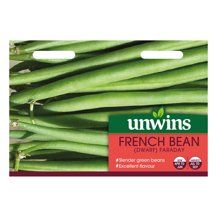 Unwins Dwarf French Bean Faraday Seeds