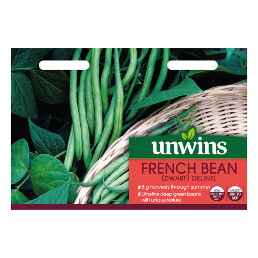 Unwins Dwarf French Bean Delinel Seeds - front