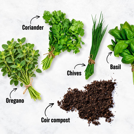 Unwins Kitchen Garden Herb Kit