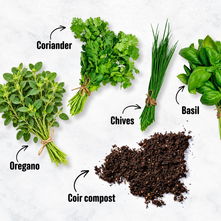 Unwins Kitchen Garden Herb Kit