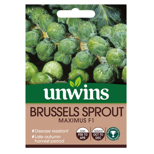 Unwins Brussels Sprout Maximus F1 Seeds - front