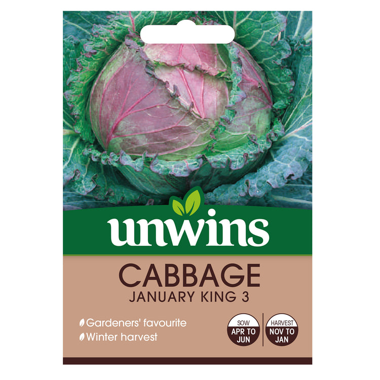 Unwins Round Cabbage January King 3 Seeds