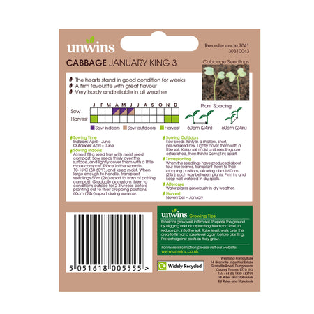 Unwins Round Cabbage January King 3 Seeds