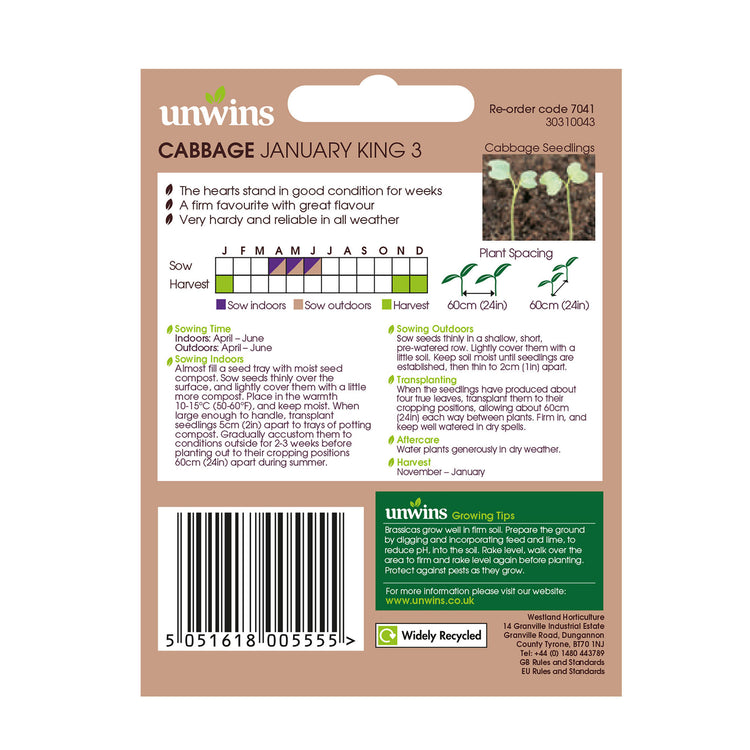 Unwins Round Cabbage January King 3 Seeds