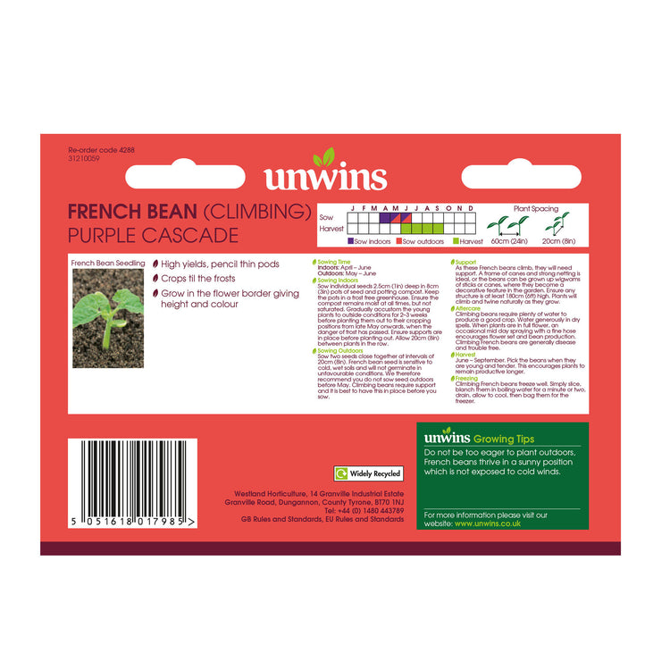 Unwins Climbing French Bean Purple Cascade Seeds