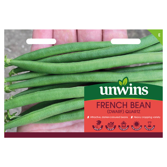 Unwins Dwarf French Bean Quartz Seeds - front