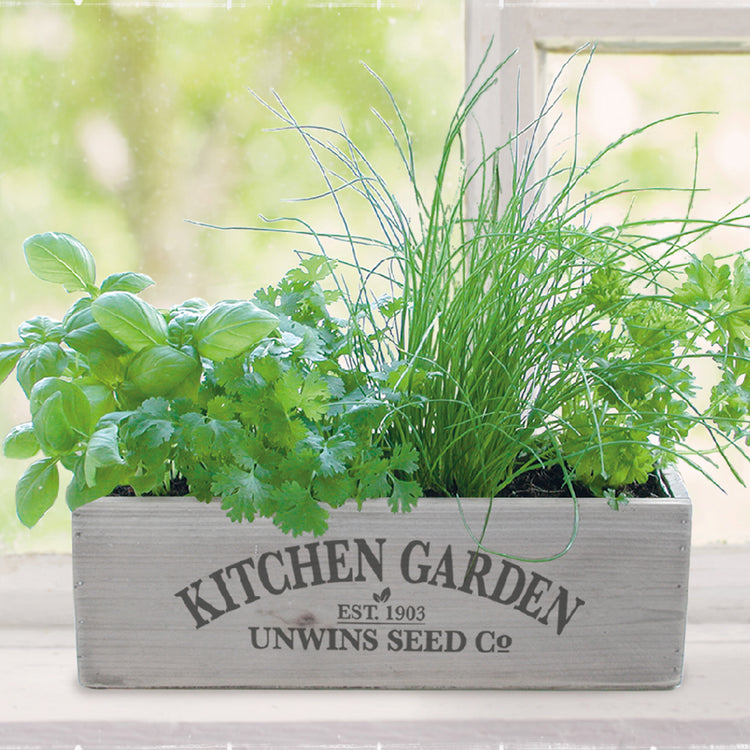 Unwins Kitchen Garden Herb Kit
