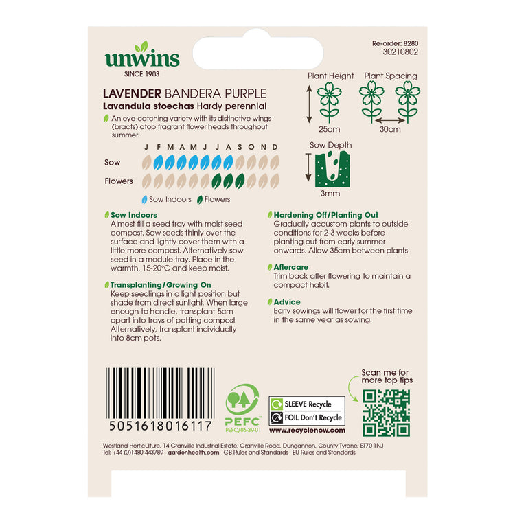 Unwins Lavender Bandera Purple Seeds