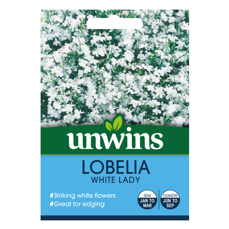Unwins Lobelia Bush White Lady Seeds