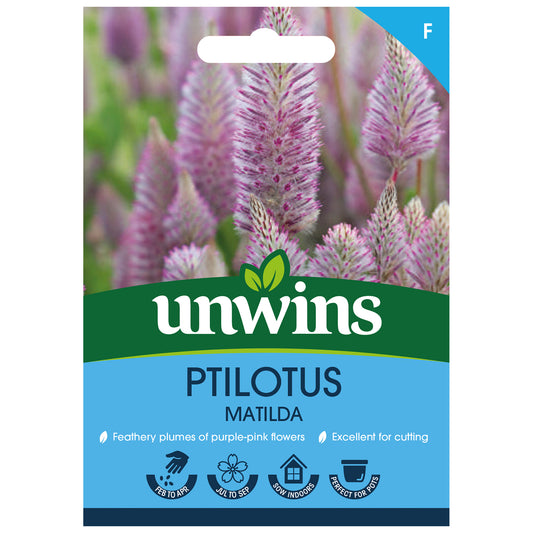 Unwins Ptilotus Matilda Seeds front of pack