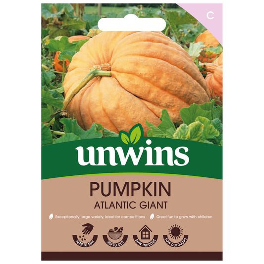 Unwins Pumpkin Atlantic Giant Seeds