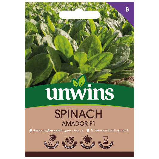 Unwins Spinach Amador F1 seeds front of pack